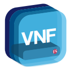 F5 PEM VNF